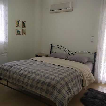Lily'S Apartment Ioannina Bagian luar foto